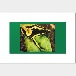 Poison Dart Arrow Frog--Black and Yellow Posters and Art